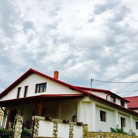 Casa De Vacanta Potoc エクステリア 写真