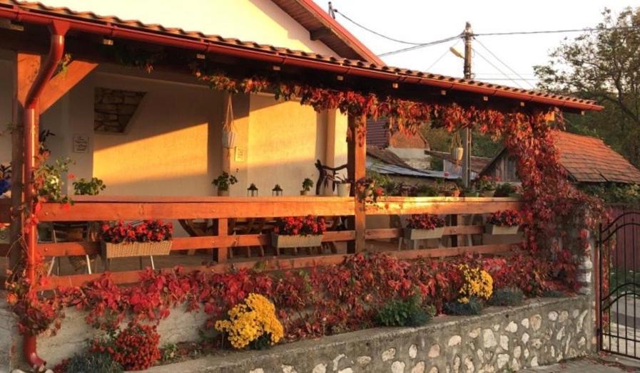Casa De Vacanta Potoc エクステリア 写真
